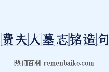 费夫人墓志铭造句是什么意思的图片